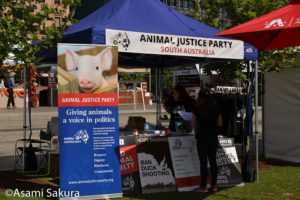 動物愛護のために政府と話し合うグループのテント （Asami Sakura/VeganFestival)