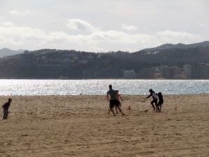 広大な浜辺で、遊びながらのトレーニング。